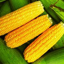Corn
